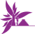 Vector Smart Object copy